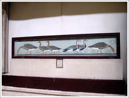 050_Musee_OiesDeMeidoum